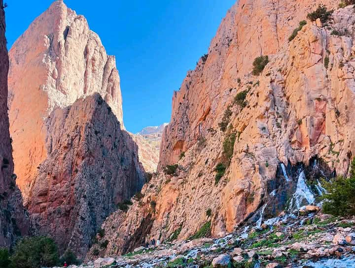 Information about Taghia